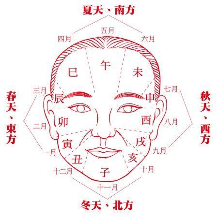 家五行屬性 额头 面相